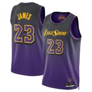 Unisex Los Angeles Lakers LeBron James Nike Purple 2024 City Edition Swingman Jersey