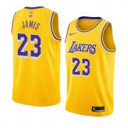 Unisex Los Angeles Lakers LeBron James Nike Yellow Icon Edition Swingman Jersey