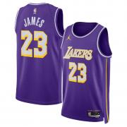 Unisex Los Angeles Lakers LeBron James Jordan Brand Purple Swingman Jersey - Statement Edition